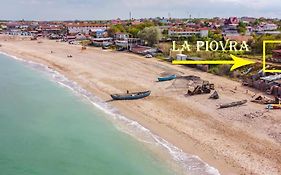 La Piovra Vama Veche